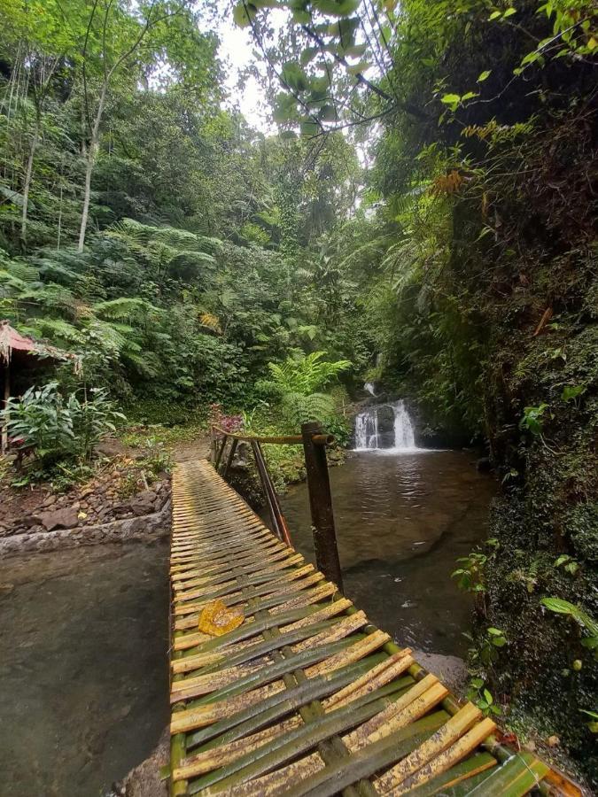Munduk Tutub Waterfall View Exterior photo
