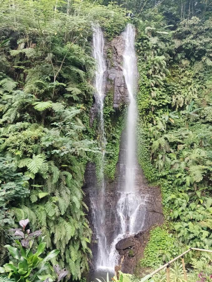 Munduk Tutub Waterfall View Exterior photo