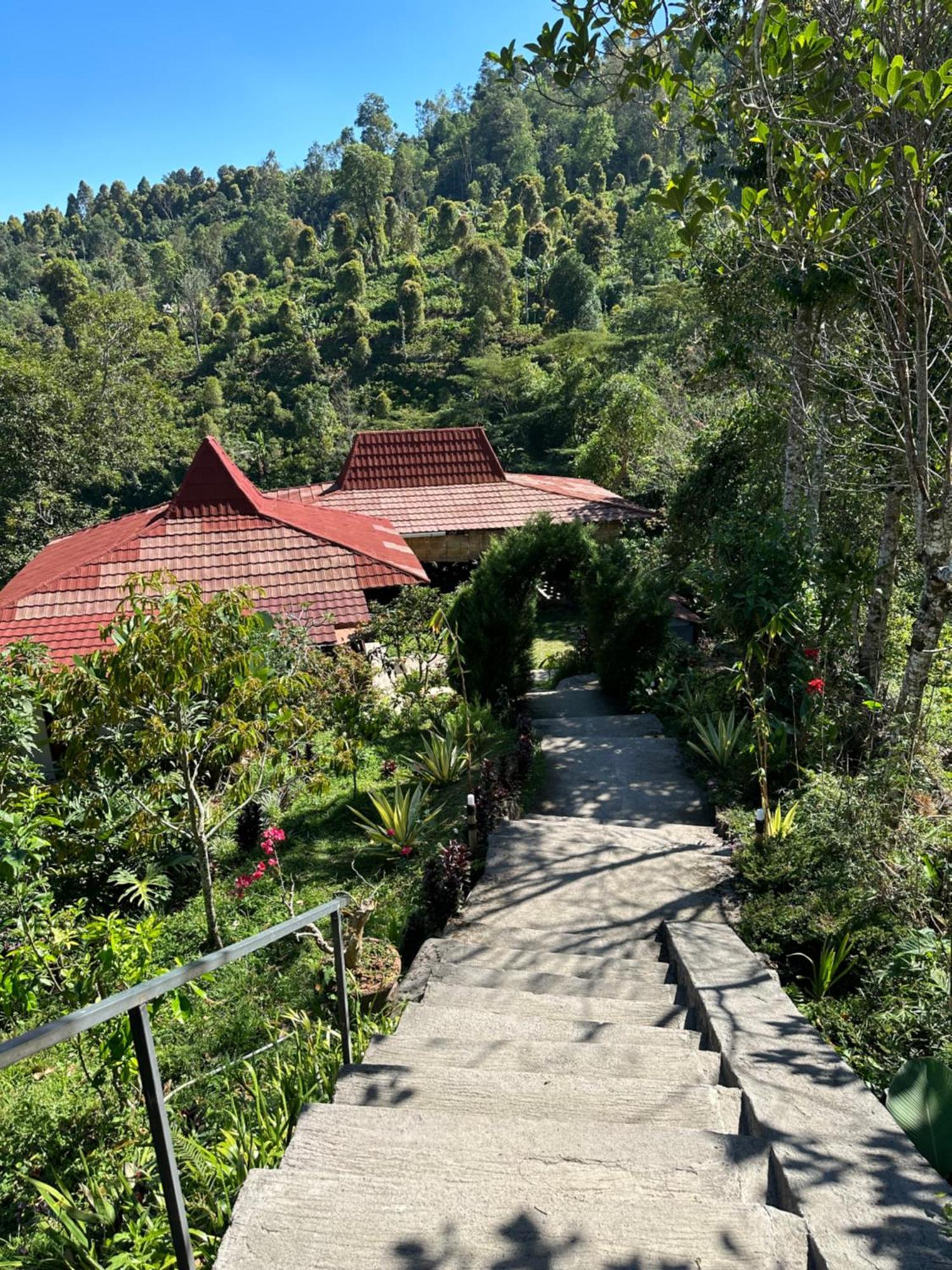 Munduk Tutub Waterfall View Exterior photo